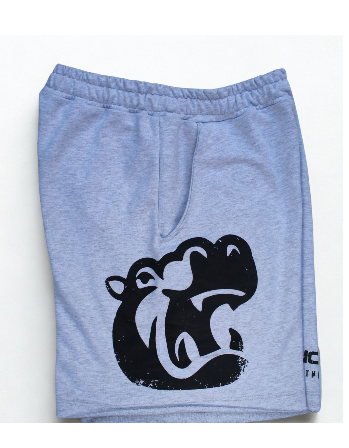 Classic SHorts